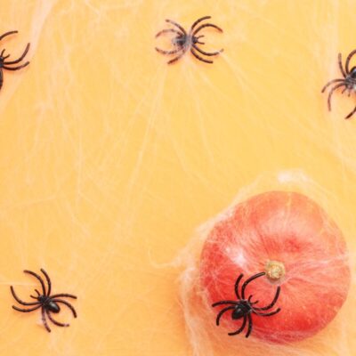 Plastikowe pająki na pomarańczowym tle z dynią w pajęczynach.
