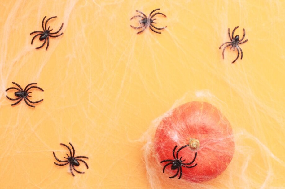 Plastikowe pająki na pomarańczowym tle z dynią w pajęczynach.